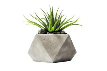 Modern Geometric Concrete Planters for Green Spaces on Transparent Background, PNG, Generative Ai