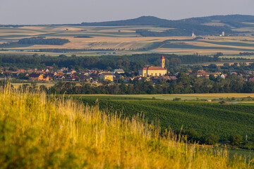 Naklejka premium Palava landscape near Dolni Dunajovice, Southern Moravia, Czech Republic