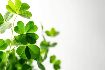 Foto op Plexiglas Concept of St. Patrick's Day, isolated on white background. © Hunman