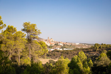 a view of Batea, comarca of Terra Alta, Province of Tarragona, Catalonia, Spain