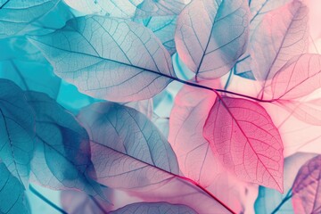 Vibrant Nature Image with Blue  Turquoise  and Pink Macro Leaves