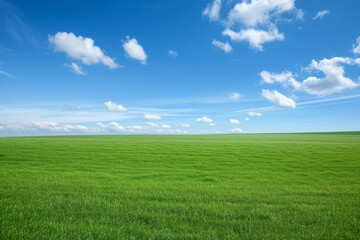 Obraz premium Vast Green Field Under a Clear Blue Sky 