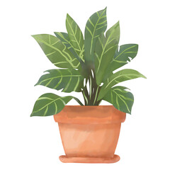Houseplant pot