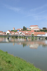 Obraz premium Drau und Schlossberg in Ptuj, Slowenien