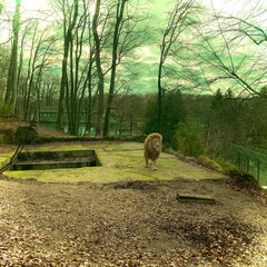 bench in the park
