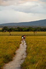 group of people trekking in the savanna of Canaima National Park, Venezuela