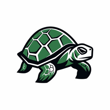 recommend clip art: Tortoise in cartoon, doodle style. Image for t shirt. Isolated 2d vector illustration in logo, icon, sketch style, Eps 10. AI Generative