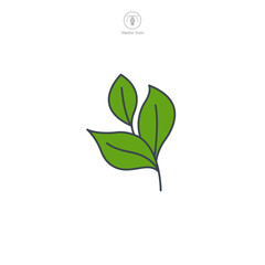 Leaf Icon symbol vector illustration isolated on white background