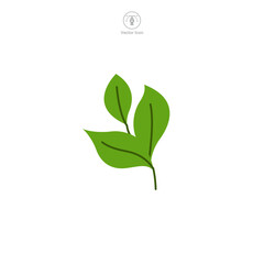 Leaf Icon symbol vector illustration isolated on white background