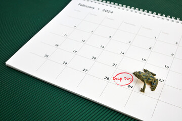 Happy Leap day or leap year. Calendar page 29 February. - obrazy, fototapety, plakaty