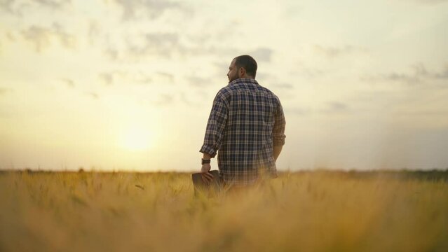 Man botanist with tablet works in field. Farmer agronomist checks ripe wheat, growth, collects data. Scientist engineer conducts research of plant cultivation. Agribusiness, country work concept.