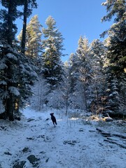Courir dans les bois