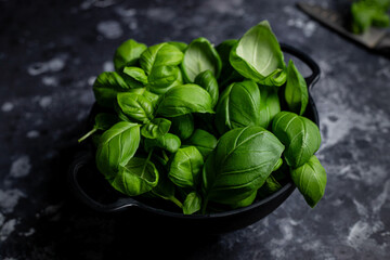 fresh basil leaves on black