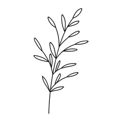 Fototapeta na wymiar leaves in vector line style