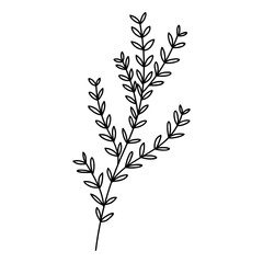 leaves in vector line style