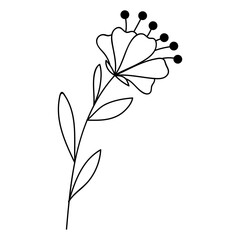 flower in vector line style