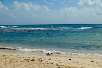 Fototapeta na wymiar Cancun beach vacation with palm trees and sand