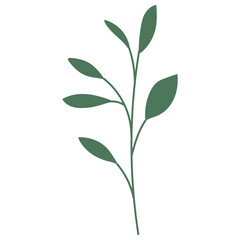 Fototapeta na wymiar leaf flat color vector