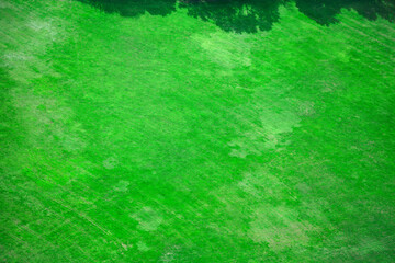 Green grass meadow view from above, natural texture background