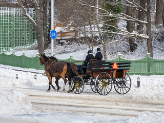 A horse-drawn carriage drives along a cleared road on a snowy day nearby tourist destination in Stockholm
