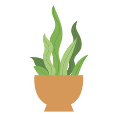 plant in pot vector