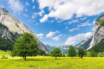 Der Große Ahornboden im Rißtal bei der Eng Alm in Österreich