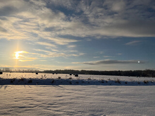 winter, field in snow, sunny winter day