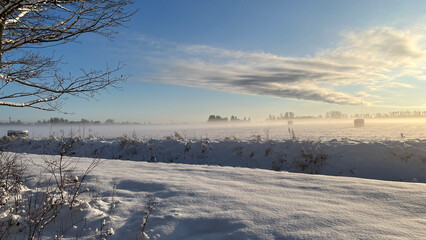 winter, field in snow, sunny winter day
