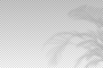 Flower shadow. Reflecting shades palm plants isolated on transparant background. Reflected plant leaves overlay realistic shade. Falls light from branches. Lighting from flowers. Vector illustration