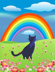 composition with a cat who stands in the meadow and looks at the rainbow - 727321432