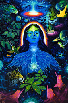 Arte de imaginaci&oacute;n y alucinaciones con el San Pedro y el kambo