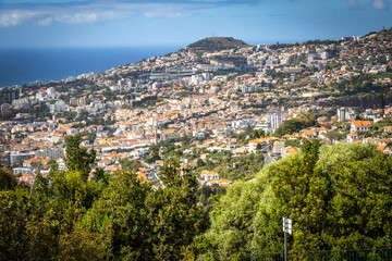 botanical garden in funchal, monte, madeira, jardim botanico madeira, garden, tropical flowers,...