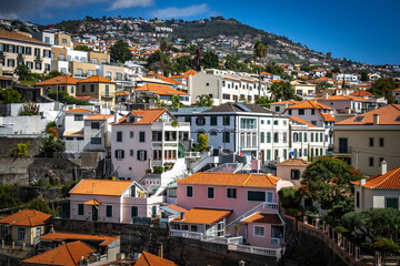 panoramic view over funchal and monte from cable car, aerial view, madeira, portugal, sea, mountains