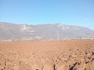 view of agricultural fields with mountains on a sunny day in northern Italy