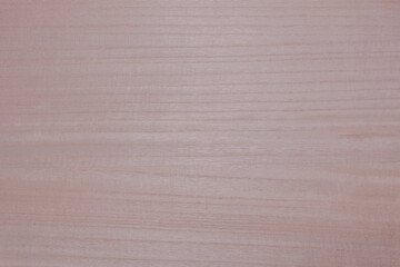 Texture of Light Beige Wood. Background With Texture of Light Smooth Wood. 