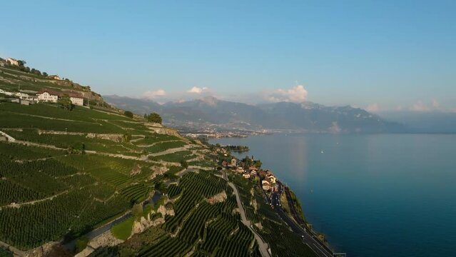 weingebiet montreux