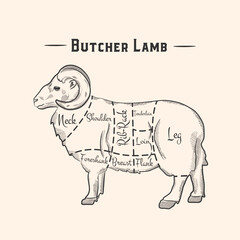 British cuts of lamb or mutton diagram