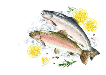 Fresh raw fish on the ice, Seafood concept Hand drawn watercolor illustration,  isolated on white background