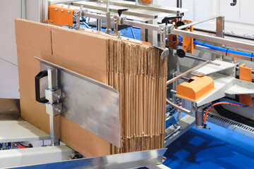 Elements of corton boxes are collected in stack. Conveyor line for the production of boxes. Machine...