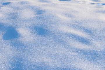 Fresh, snowy surface in sunny weather during the day.