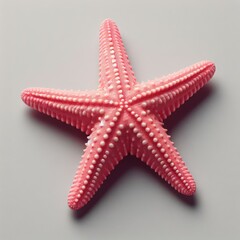 pink starfish isolated on white

