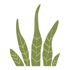 vector illustration of bushes or wild grass