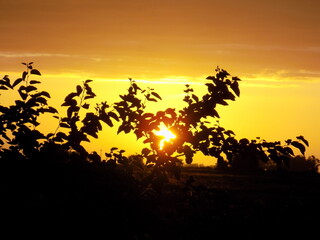 tardeceres inolvidables