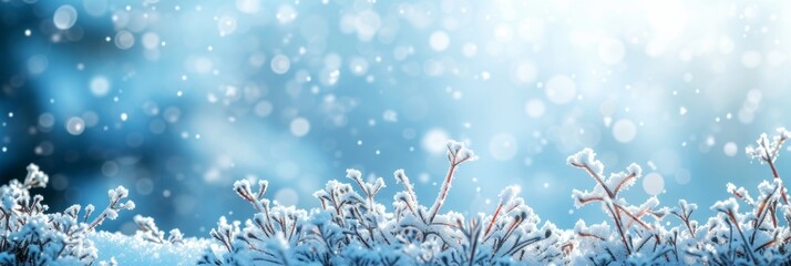 Fototapeta na wymiar Winter Wonderland Scene Imagine a serene winter setting, with pure white snowflakes glistening in the sunlight against a light blue backdrop.