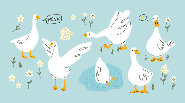 Cute goose. Adorable farm birds in different poses, funny characters and flowers. Childish print and poster, kids textile and nursery decor. Stickers set, vector cartoon flat isolated illustration