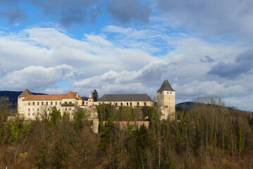 Fototapeta na wymiar Blick auf Burg Thalberg, Wechselland, Steiermark (8)