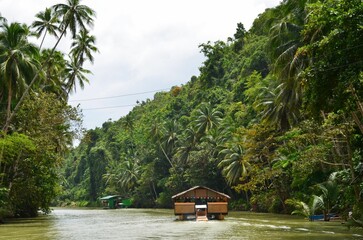 Loboc river cruise - discover the jungle on Bohol island
