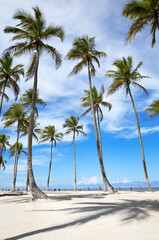 Beach Praia da Costa, Ilha Atalaia, Canavieiras, Bahia,  Brazil, South America.
