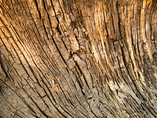 luxury ornamental mandala background design.Round gradient mandala isolated background. Vector boho mandala in luxury golden and pink colors. 