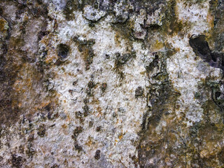 luxury ornamental mandala background design.Round gradient mandala isolated background. Vector boho mandala in luxury golden and pink colors. 